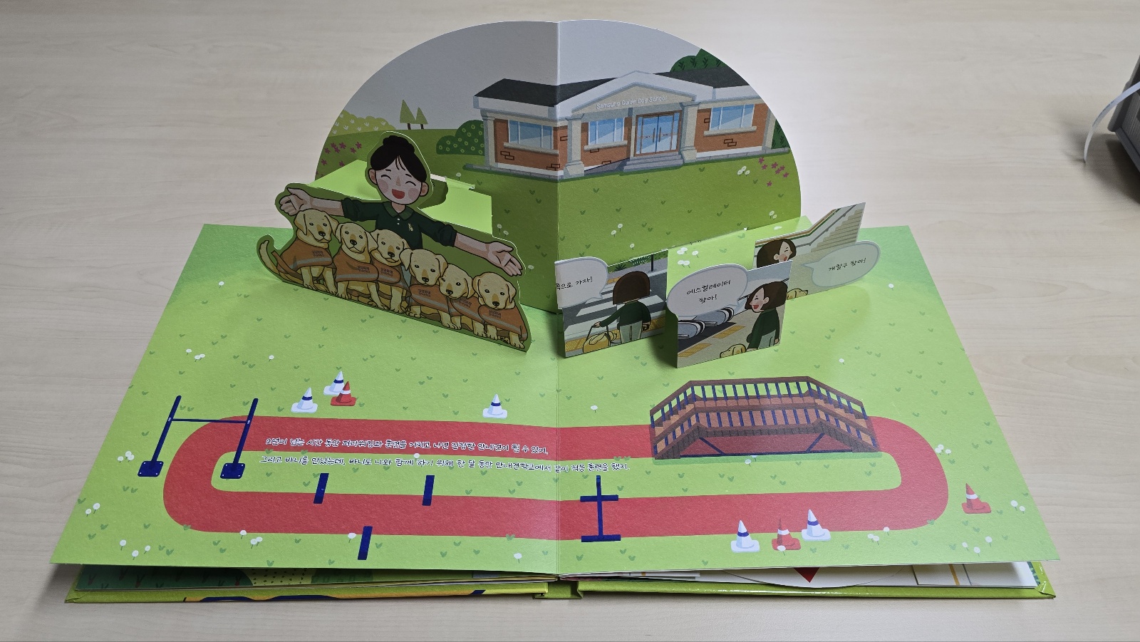 Institutional & Public Pop-Up Book