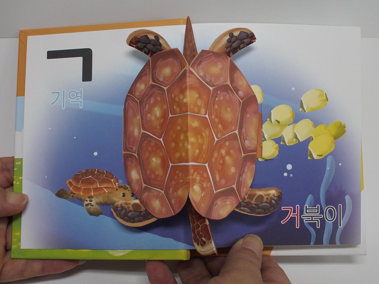 Pop-Up Hangul (Korean Alphabet) - Kpopupstudio Official Production Record